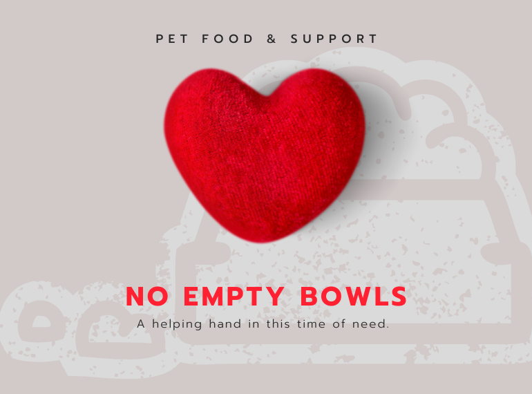 Fundraiser image