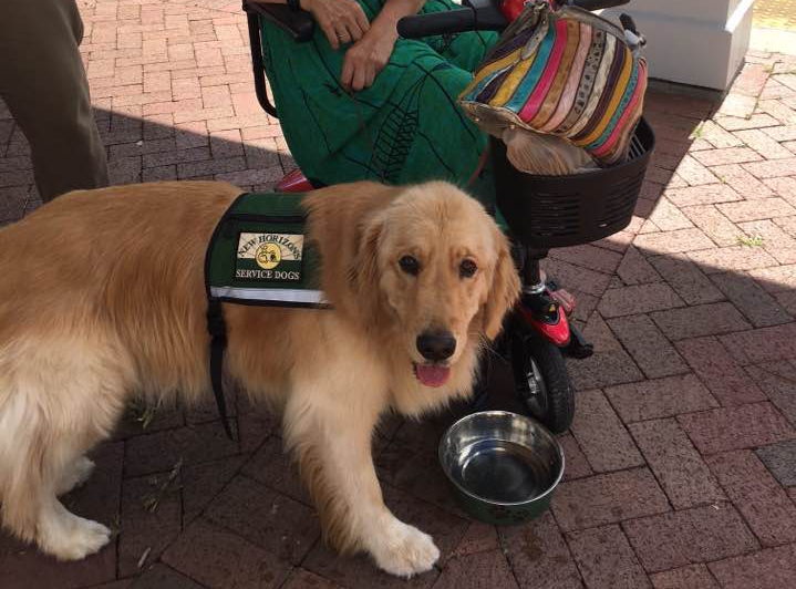 Fundraiser image