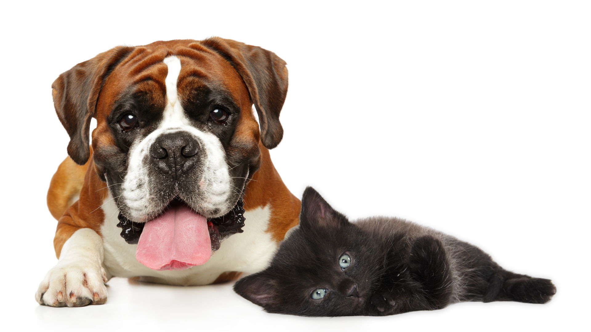 Tile background Image