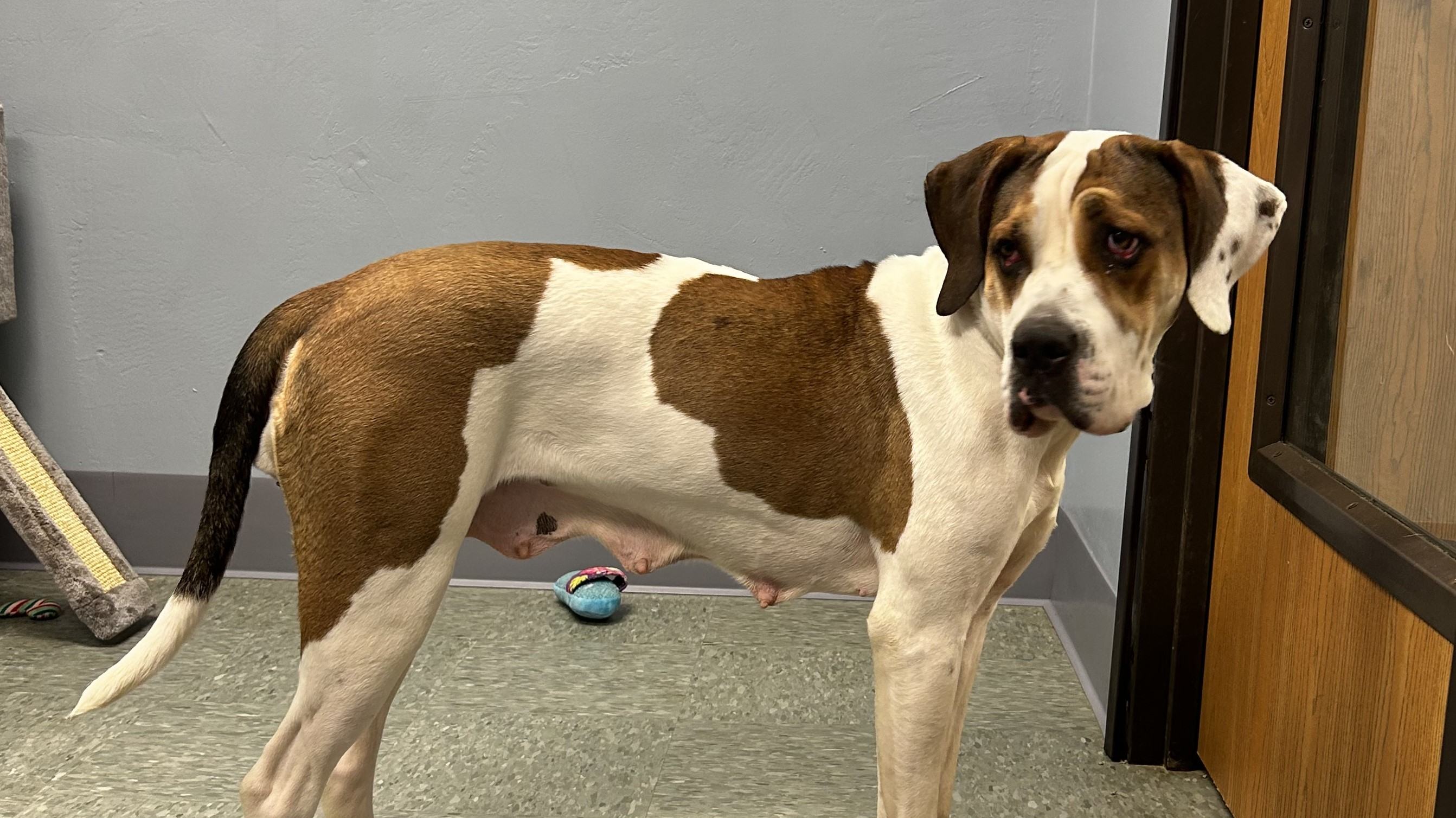 Tile background Image