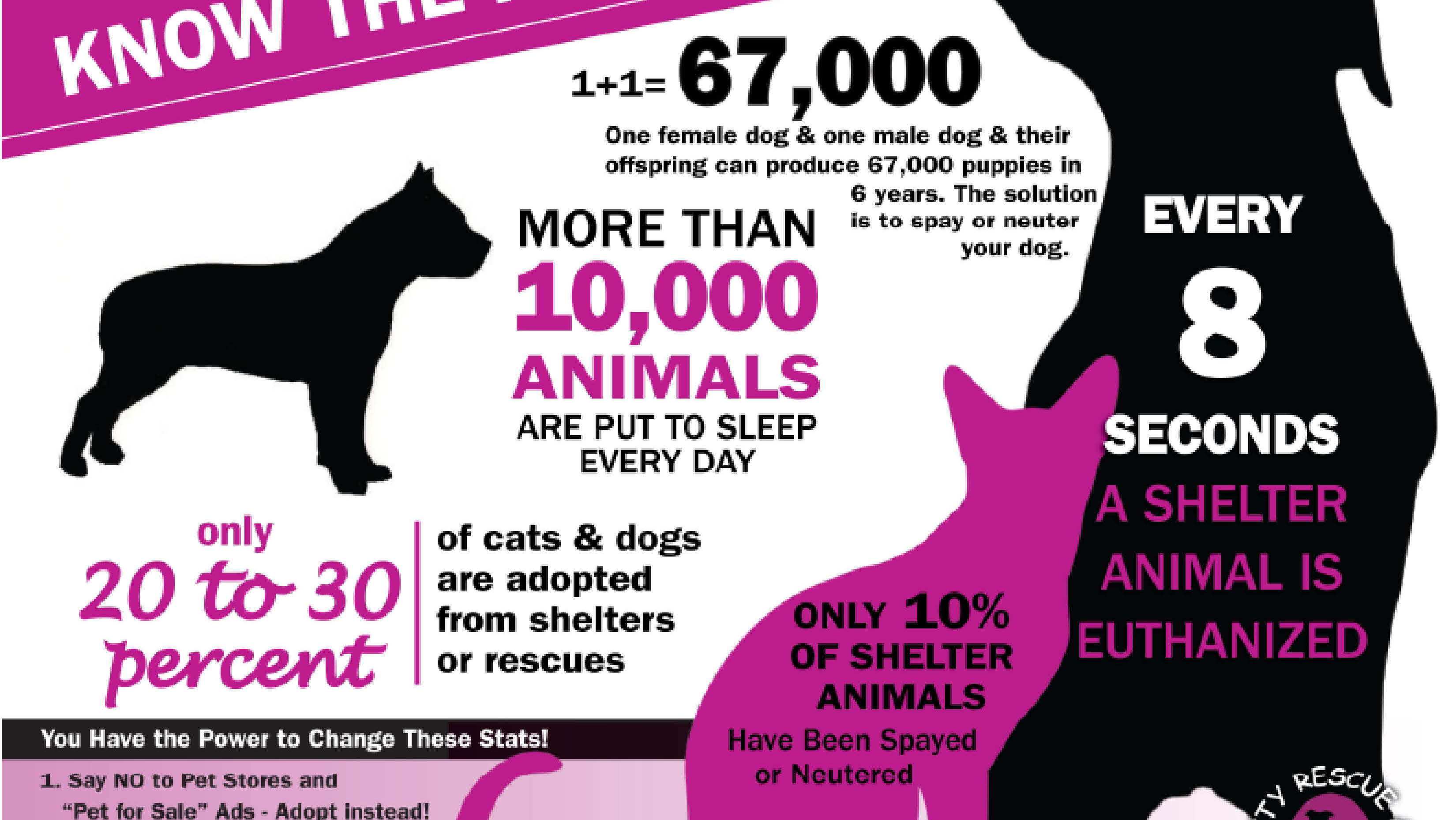 Tile background Image