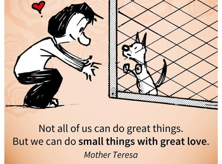 Fundraiser image