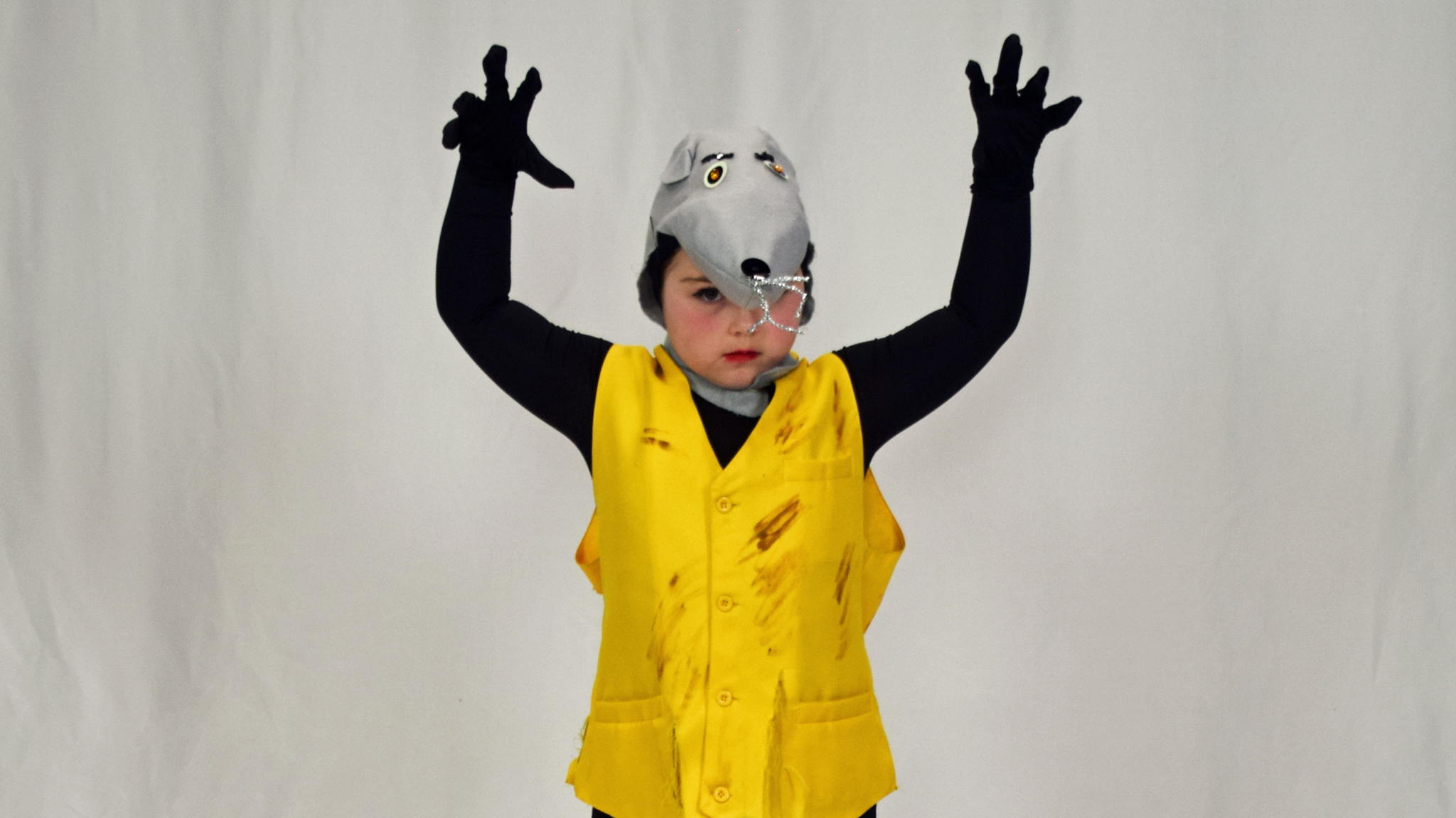 Fundraiser image