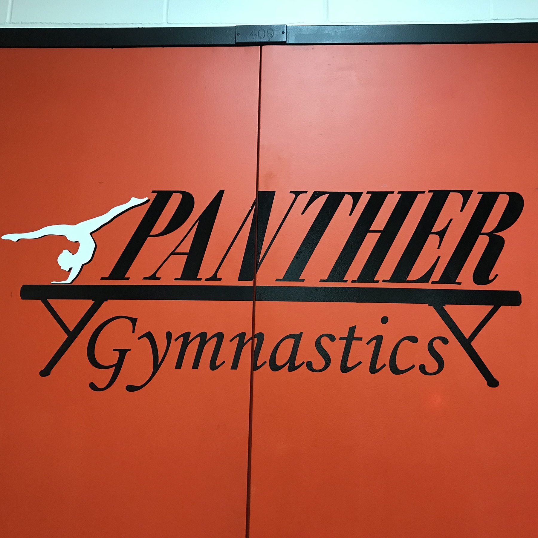 Park Rapids Area Gymnastics GiveMN