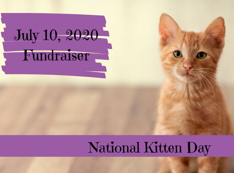 Fundraiser image