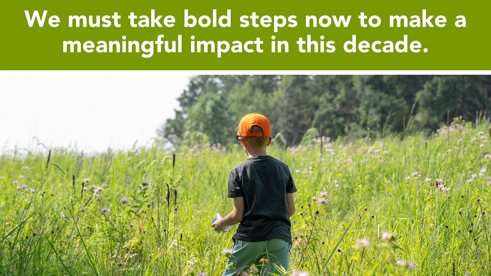 Child walking away from viewer into a prairie in bloom