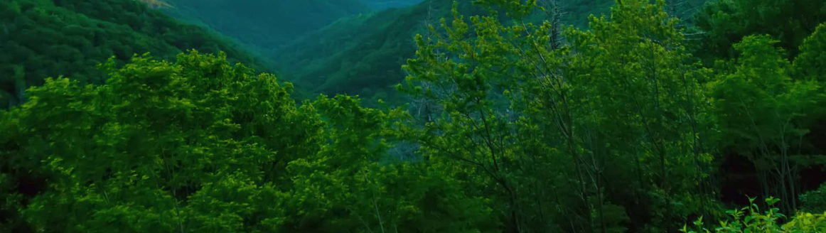 Block background image
