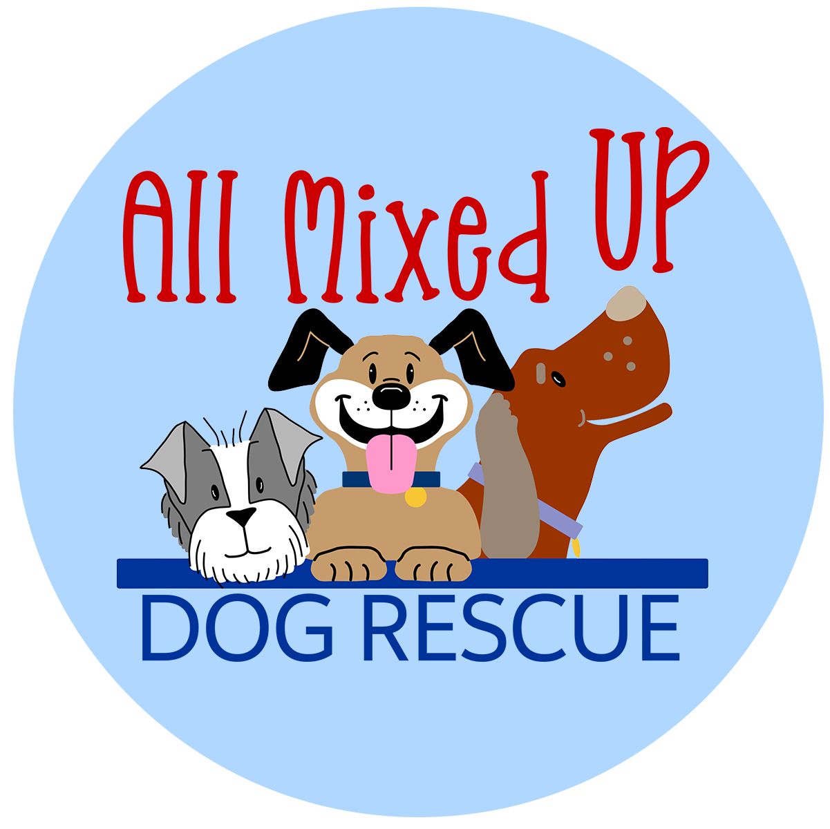 all-mixed-up-dog-rescue-colorado-gives-365
