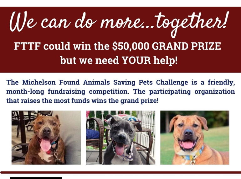 Fundraiser image
