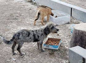 Fundraiser image