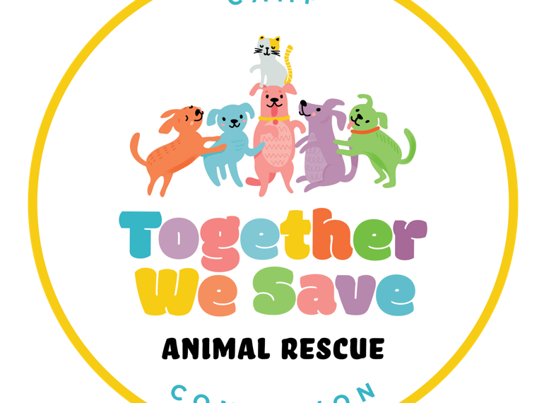 Fundraiser image
