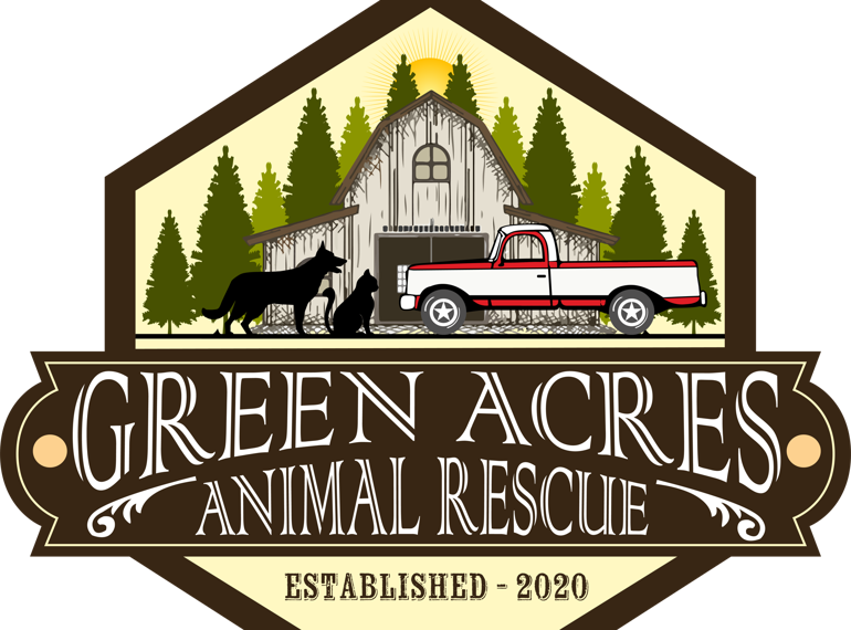 Fundraiser image