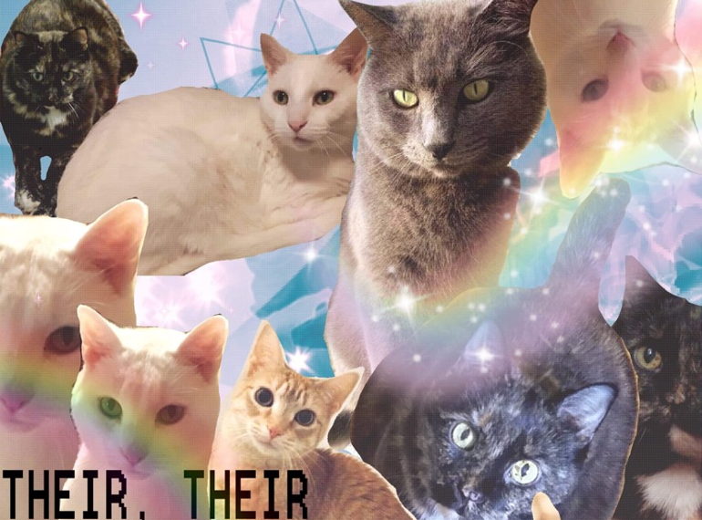 Fundraiser image