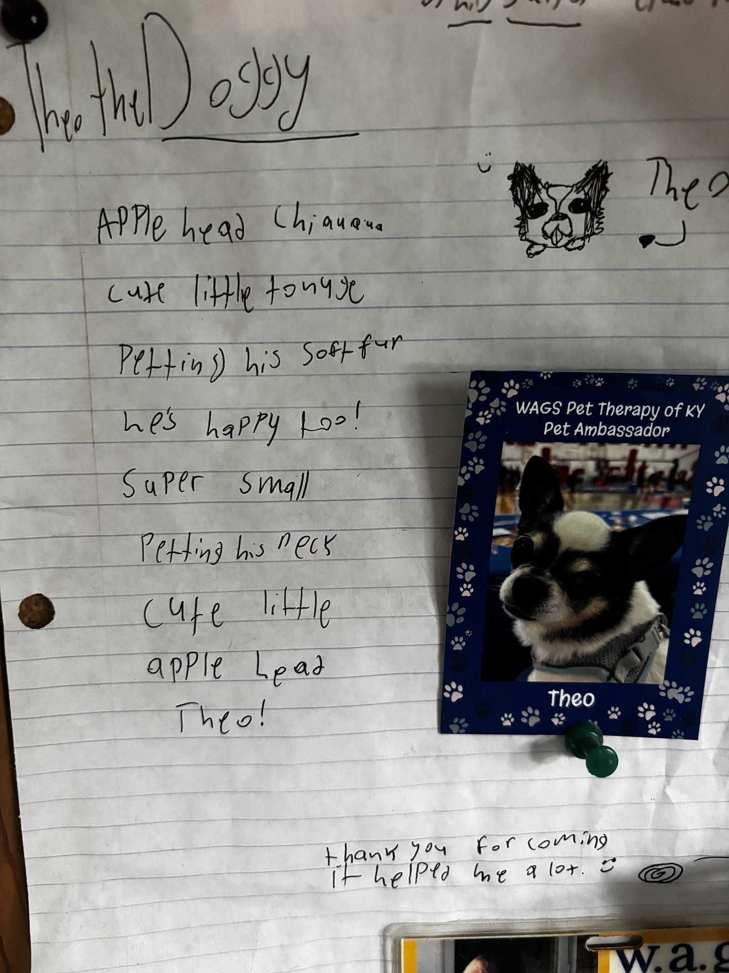 Theo the Chihuahua gets an "ode" from a 4th grader at Goldsmith (2023)