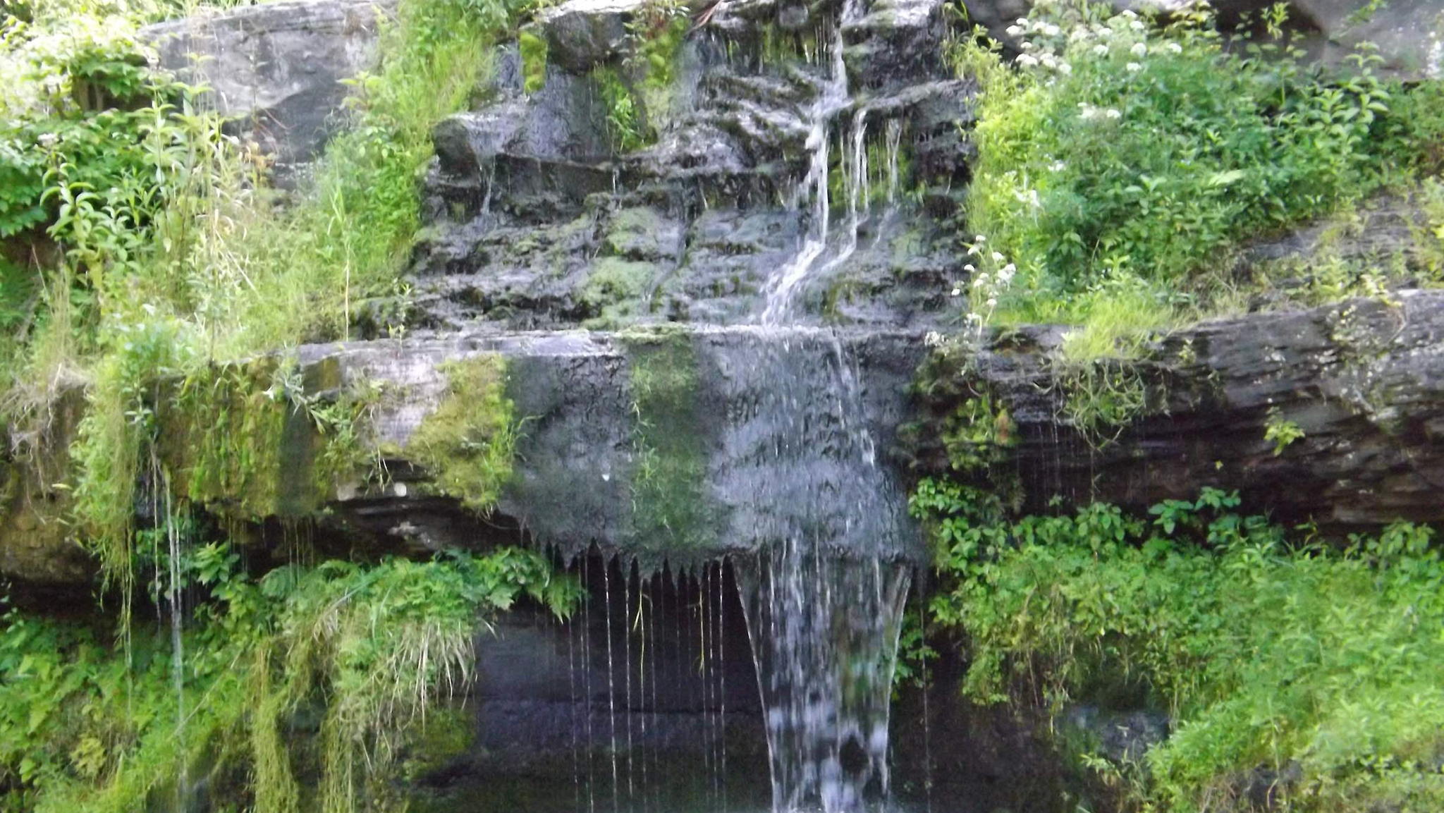 Fundraiser image