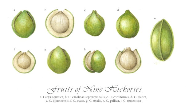 Fundraiser image