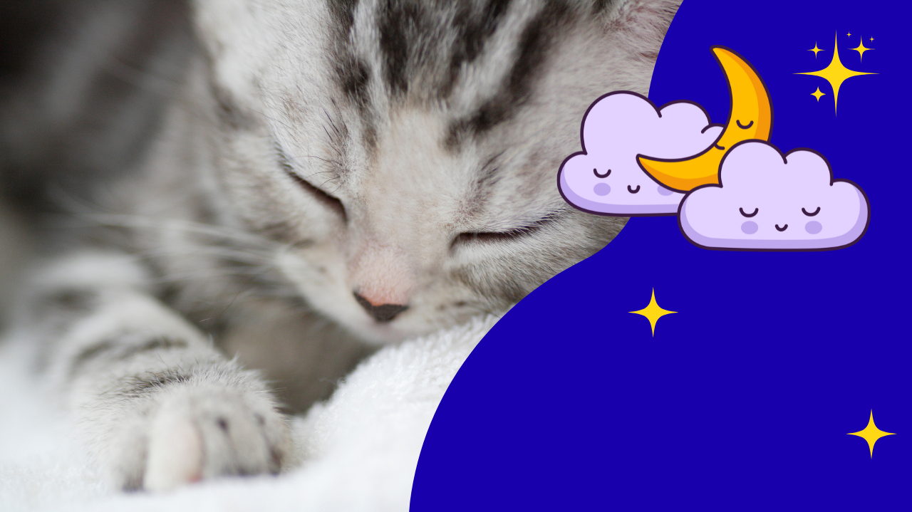 Tile Background image