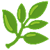 🌿