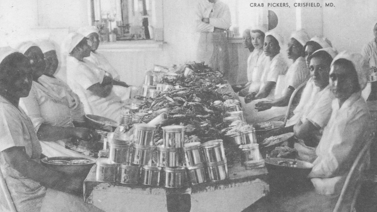 Fundraiser image