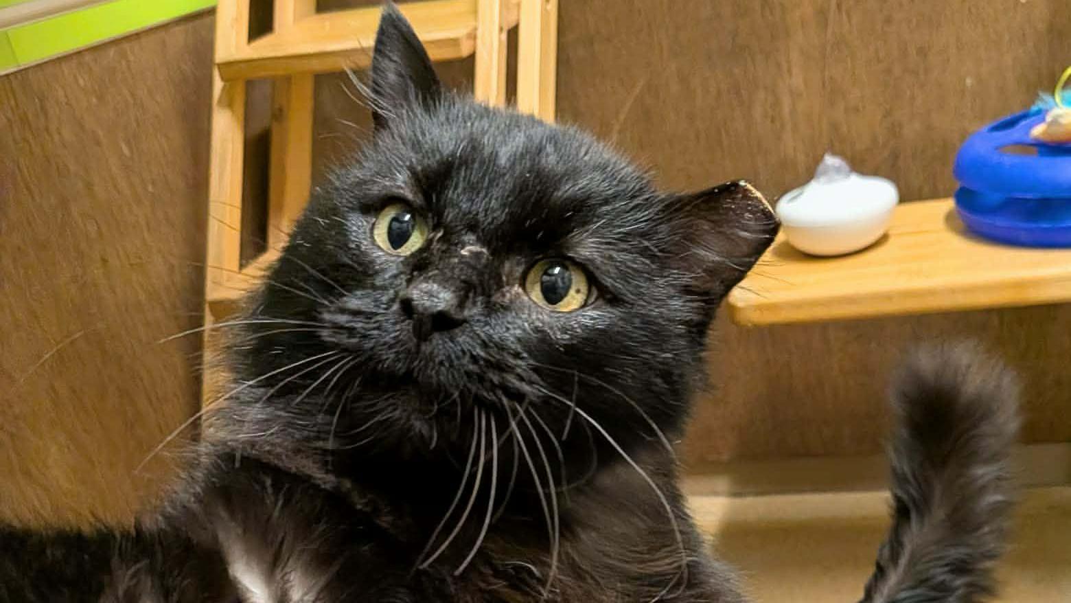 Tile background Image