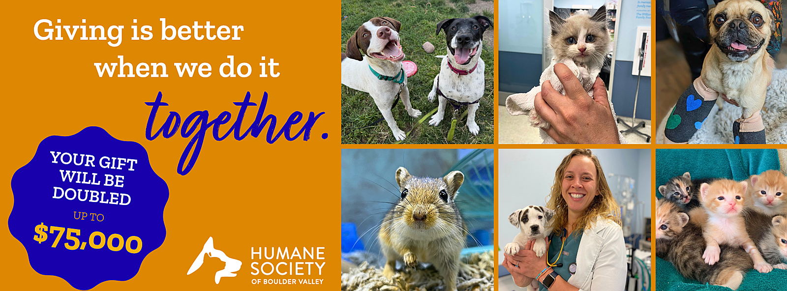 Support Pets in Need at HSBV! | ColoradoGives.org