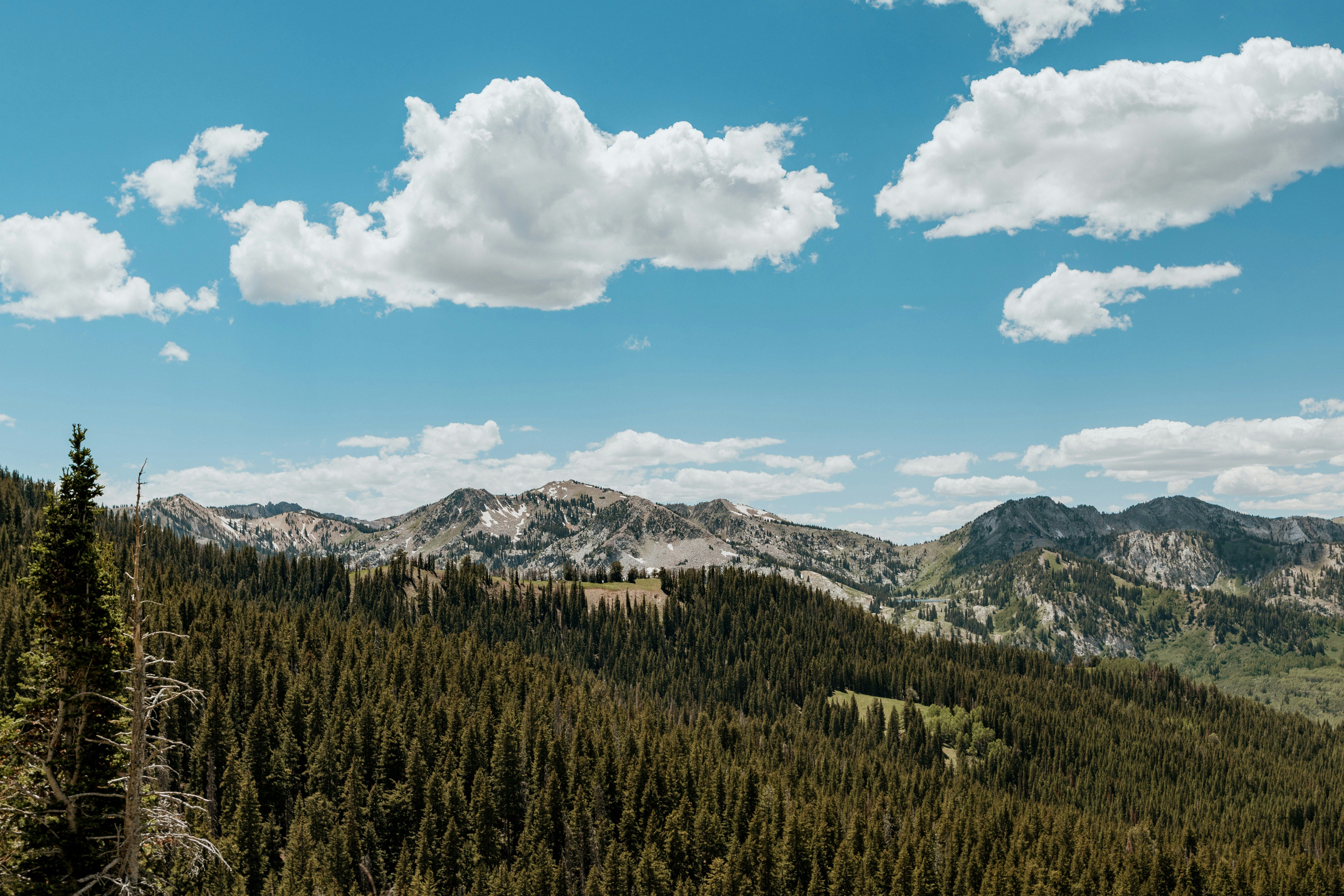 Block background image