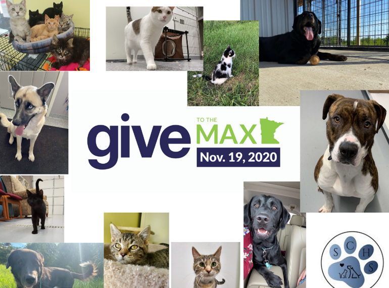 Fundraiser image