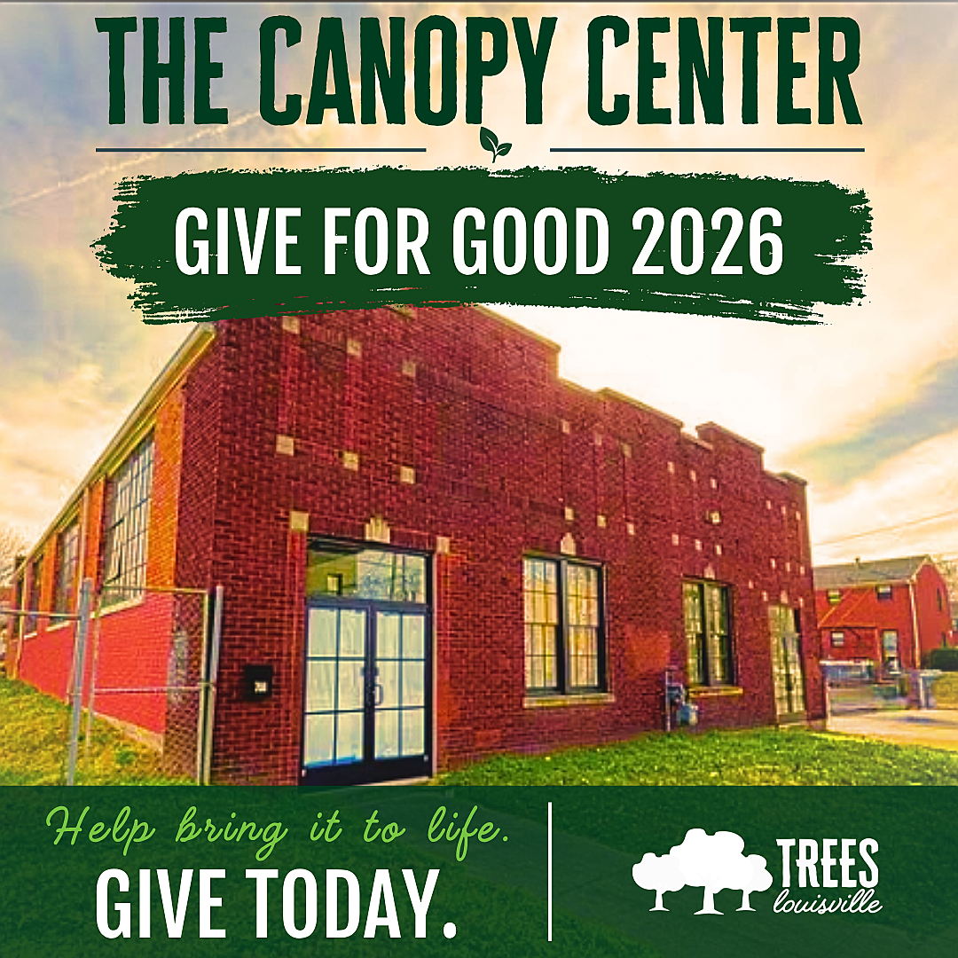 The Canopy Center