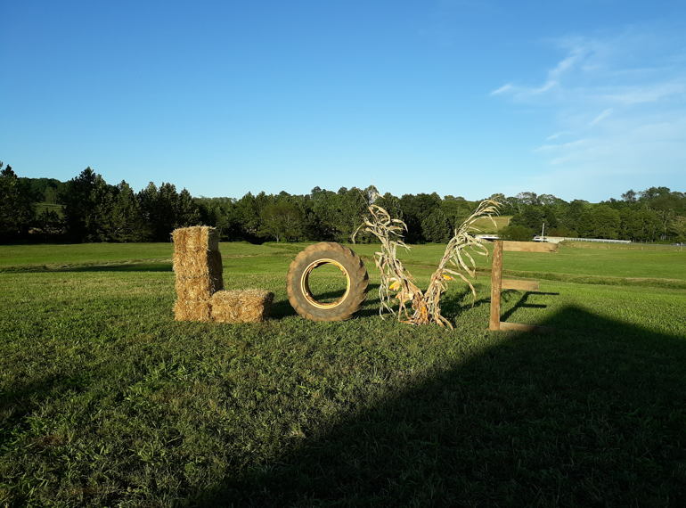 Fundraiser image