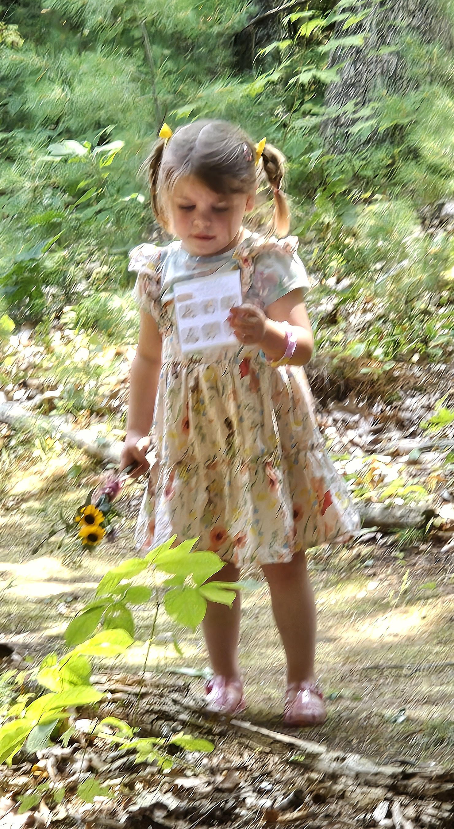 Girl with bouquet in her hand, walking through the library woods to do a treasure hunt.