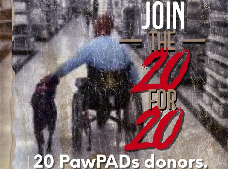 Fundraiser image