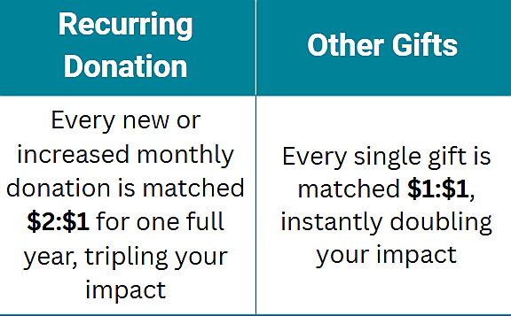 Chart comparing recurring donations and other gifts with matching details.