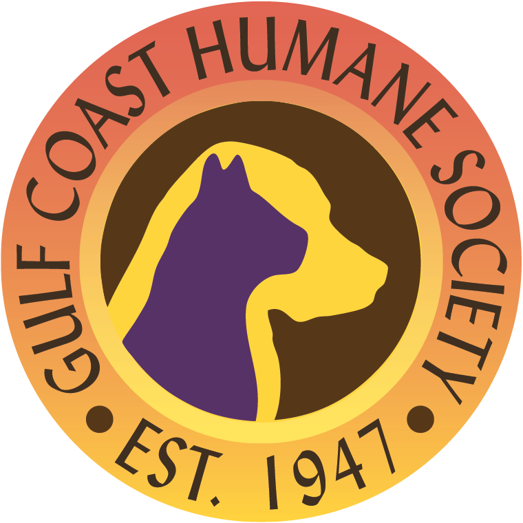 Gulf Coast Humane Society | Shelter Slumber Pawty