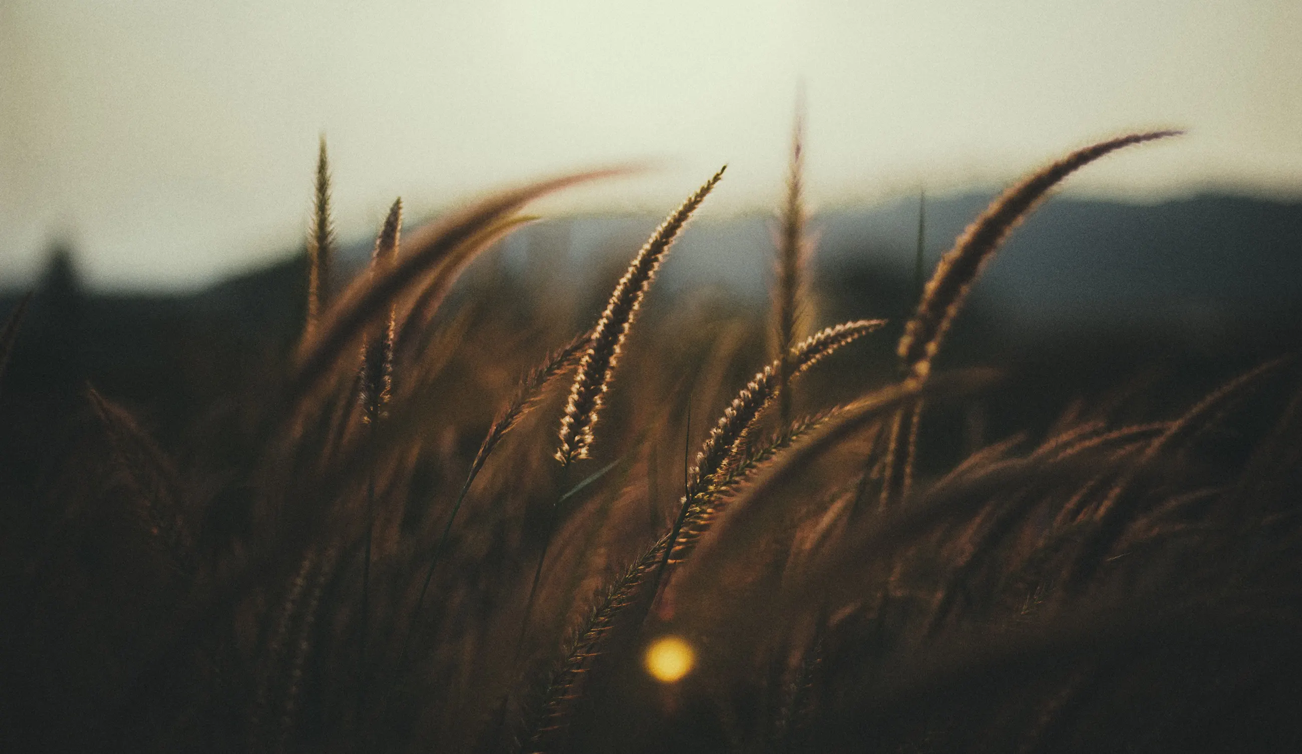 Tile background Image