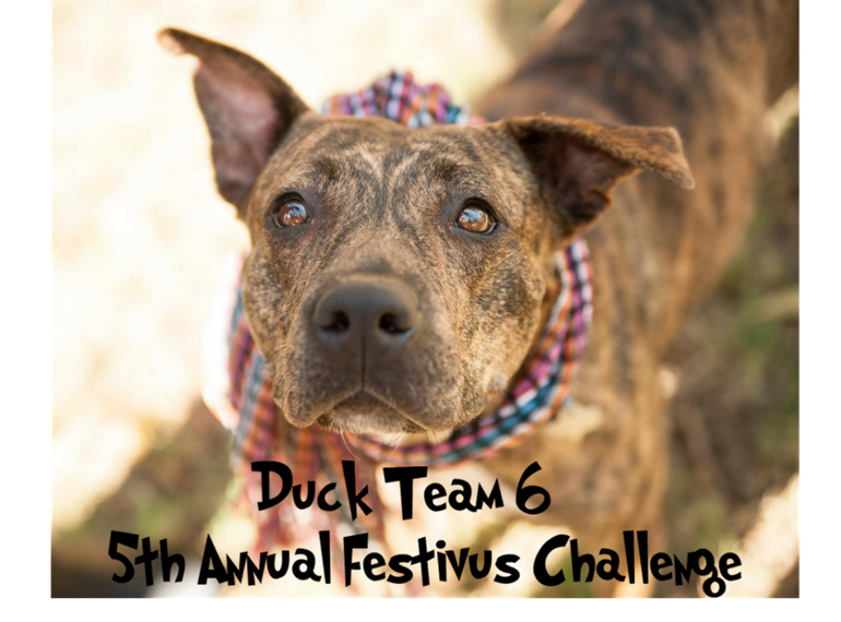 Fundraiser image