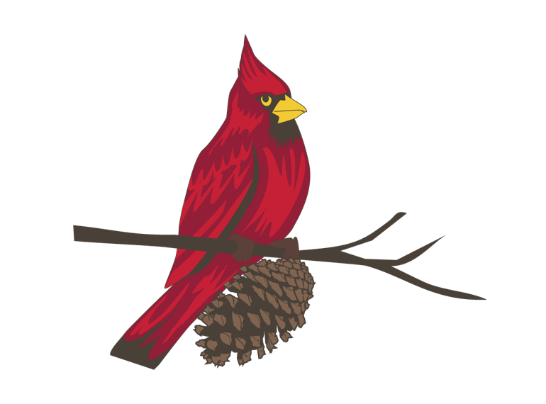 Fundraiser image