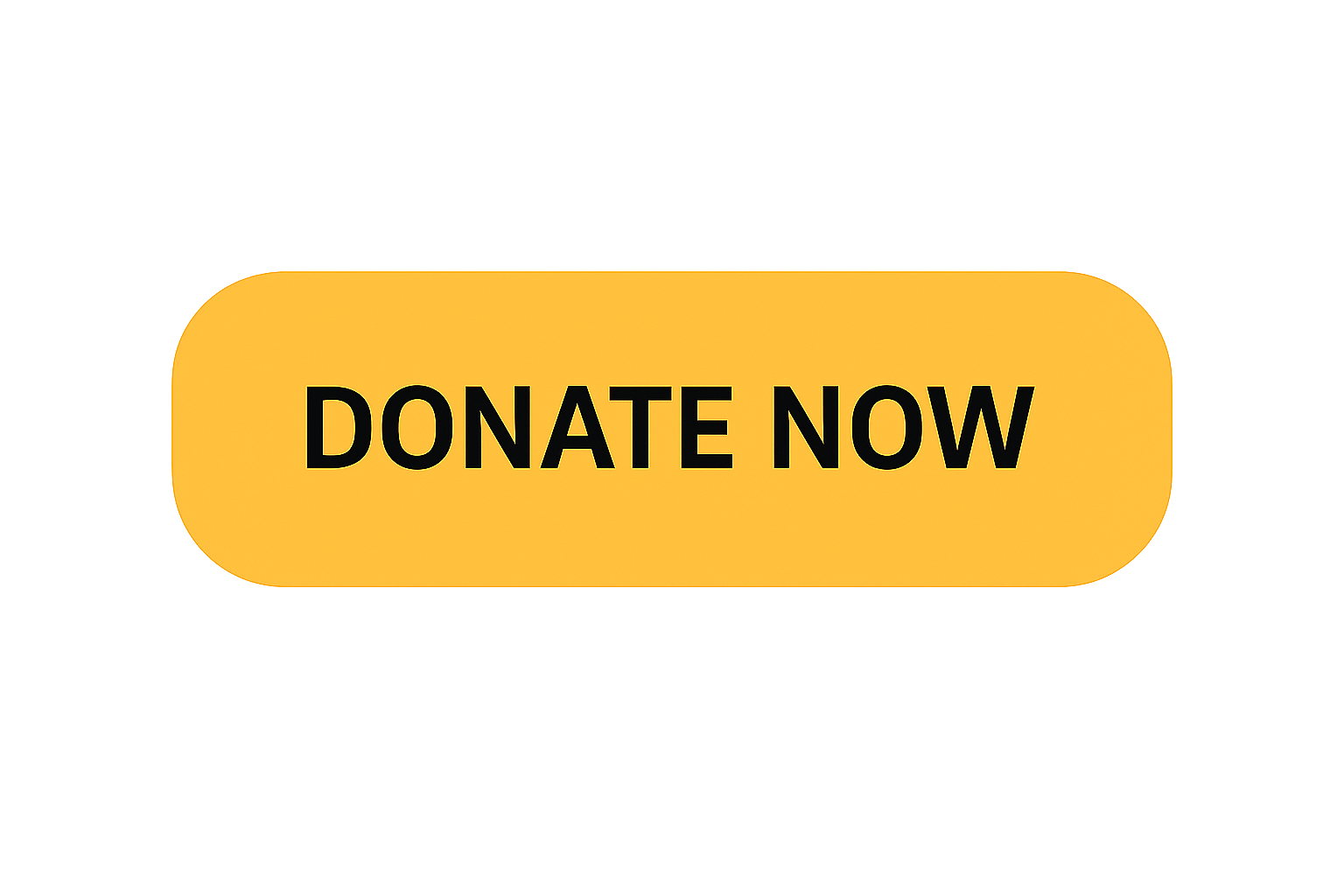 Donate Now