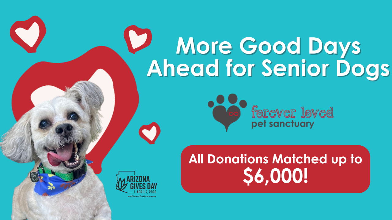 Fundraiser image