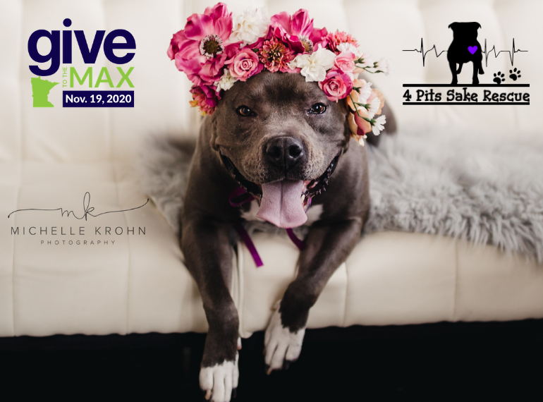 Fundraiser image