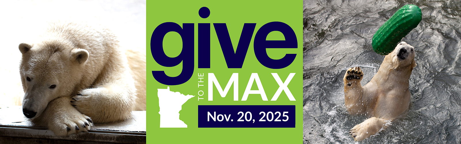 A rectangular banner image shows the Give to the Max, Nov. 16, 2023 logo in the middle with a view of the Marjorie McNeely Conservatory's Sunken Garden summer flower show on the left and Willow the snow leopard cub on the right.