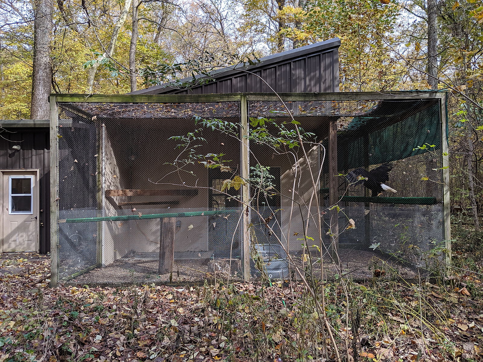An animal housing complex within a forest