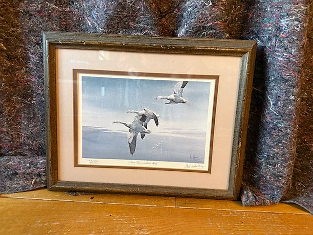 1st prize - Snow geese by Les Kouba 149/500