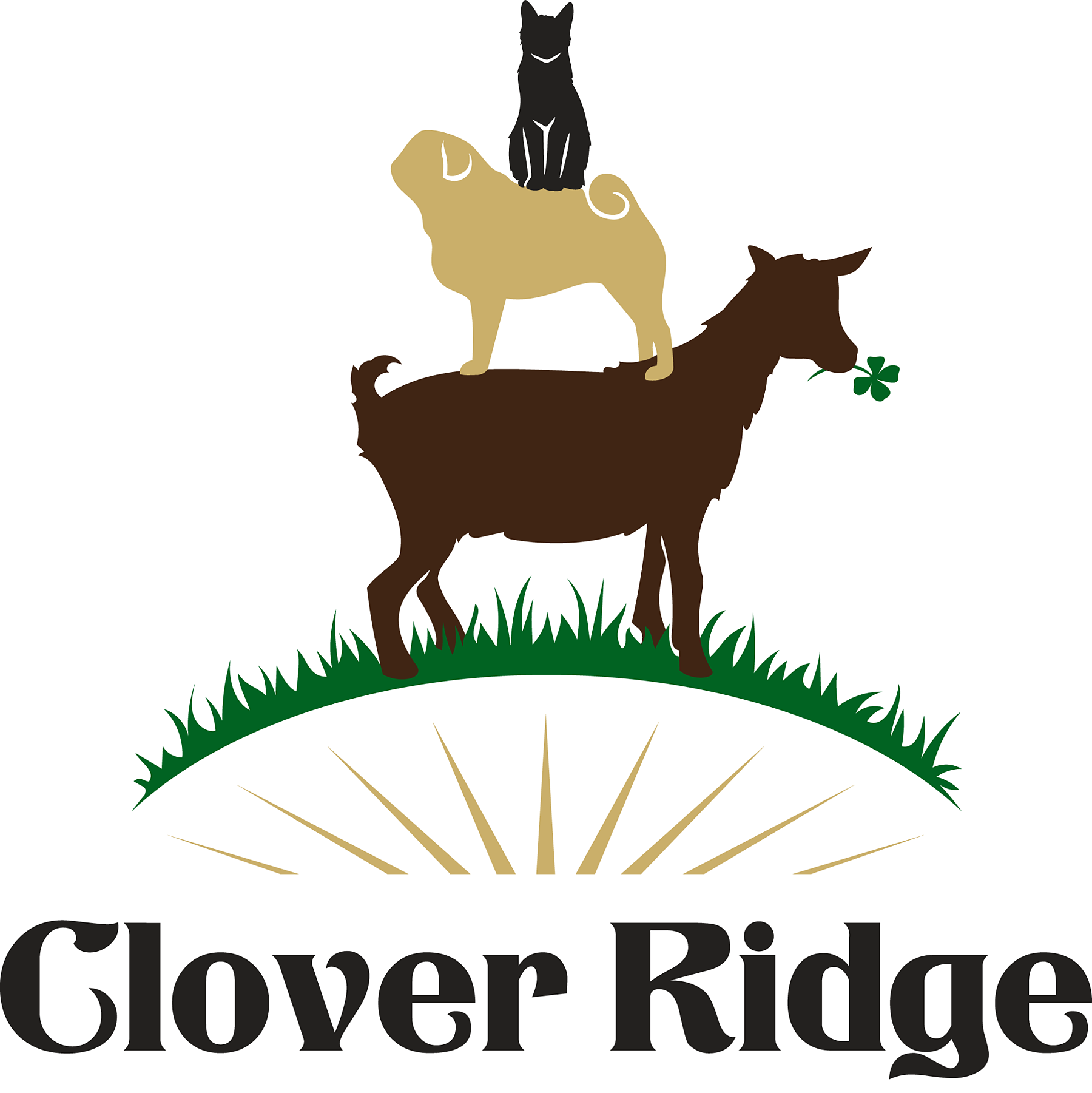 Clover Ridge Farm Animal Sanctuary Inc Colorado Gives 365