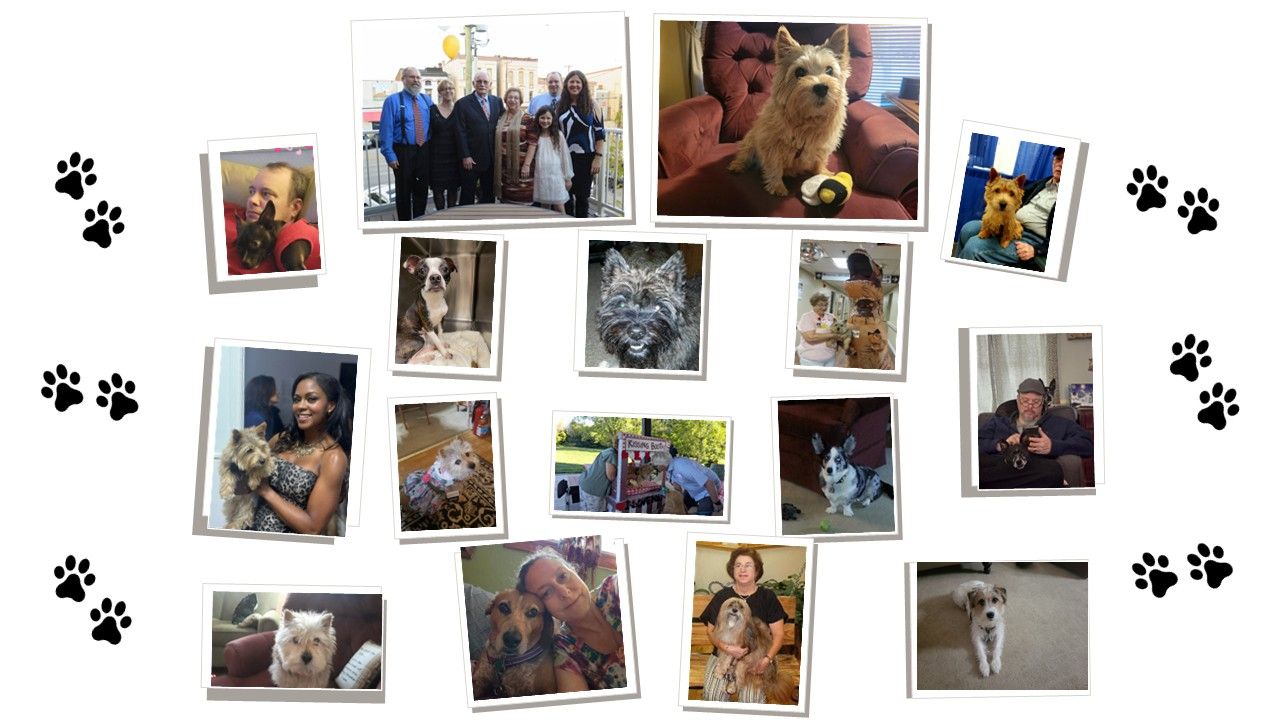 Fundraiser image