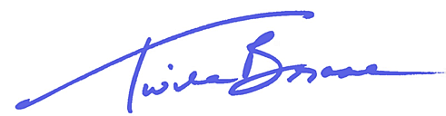 A blue signature on a white backgroundDescription automatically generated