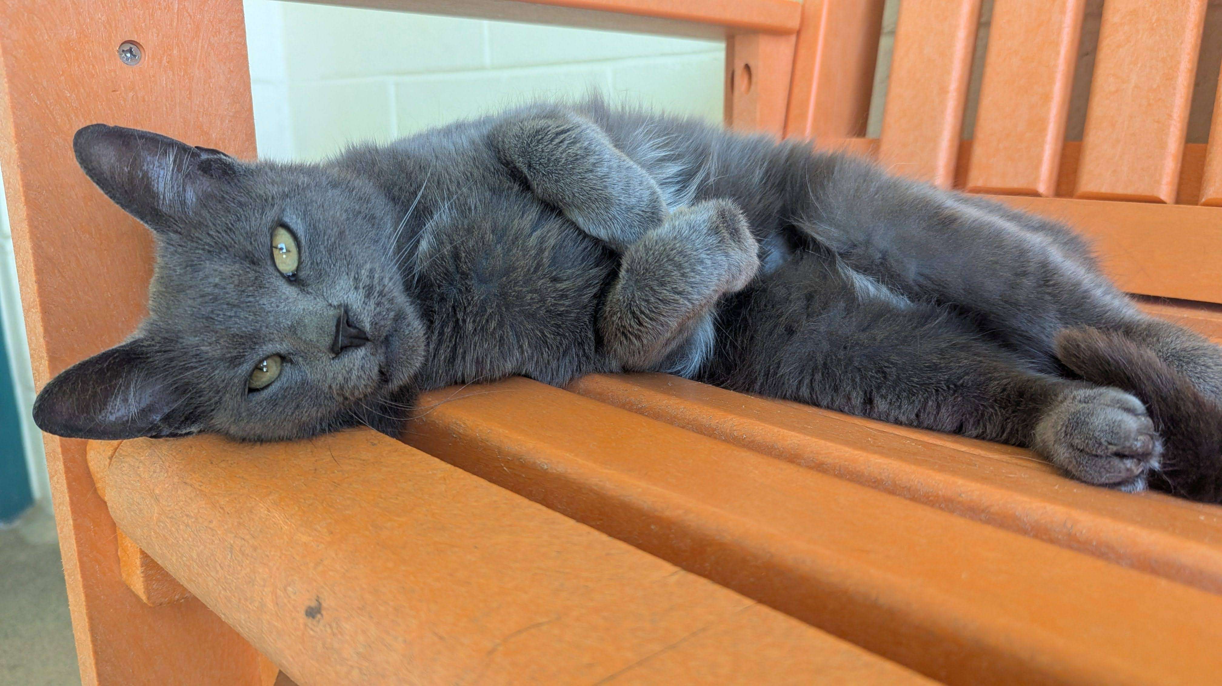 Tile background Image