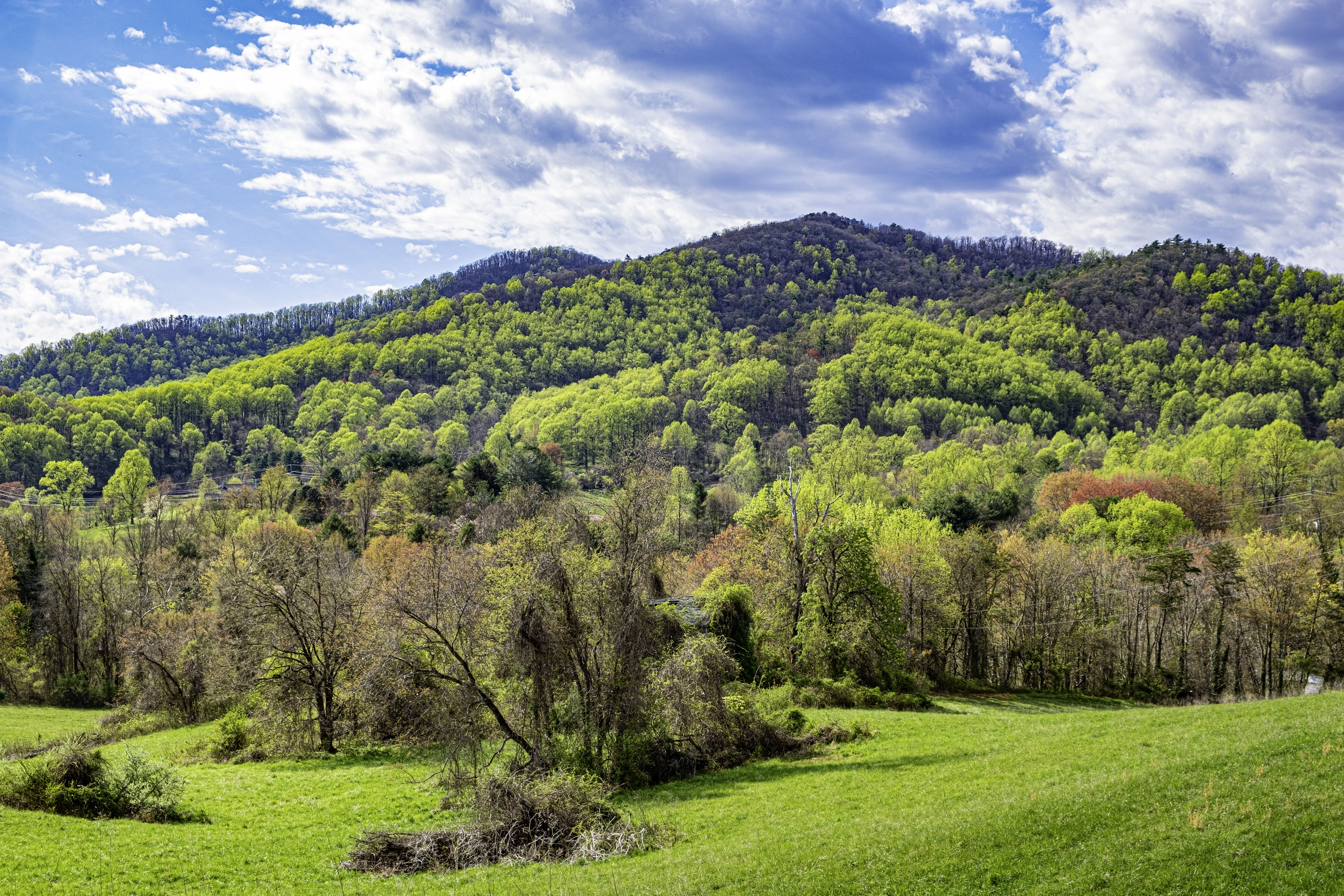 Block background image