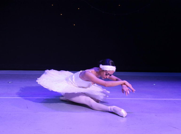 Fundraiser image