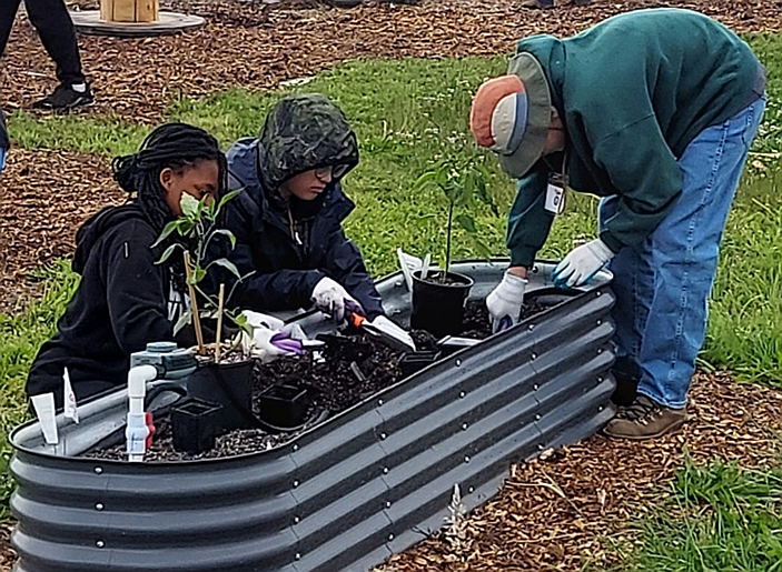 Youth and Master Gardener volunteer working at a raised bed to plant peppers, late May, 2026