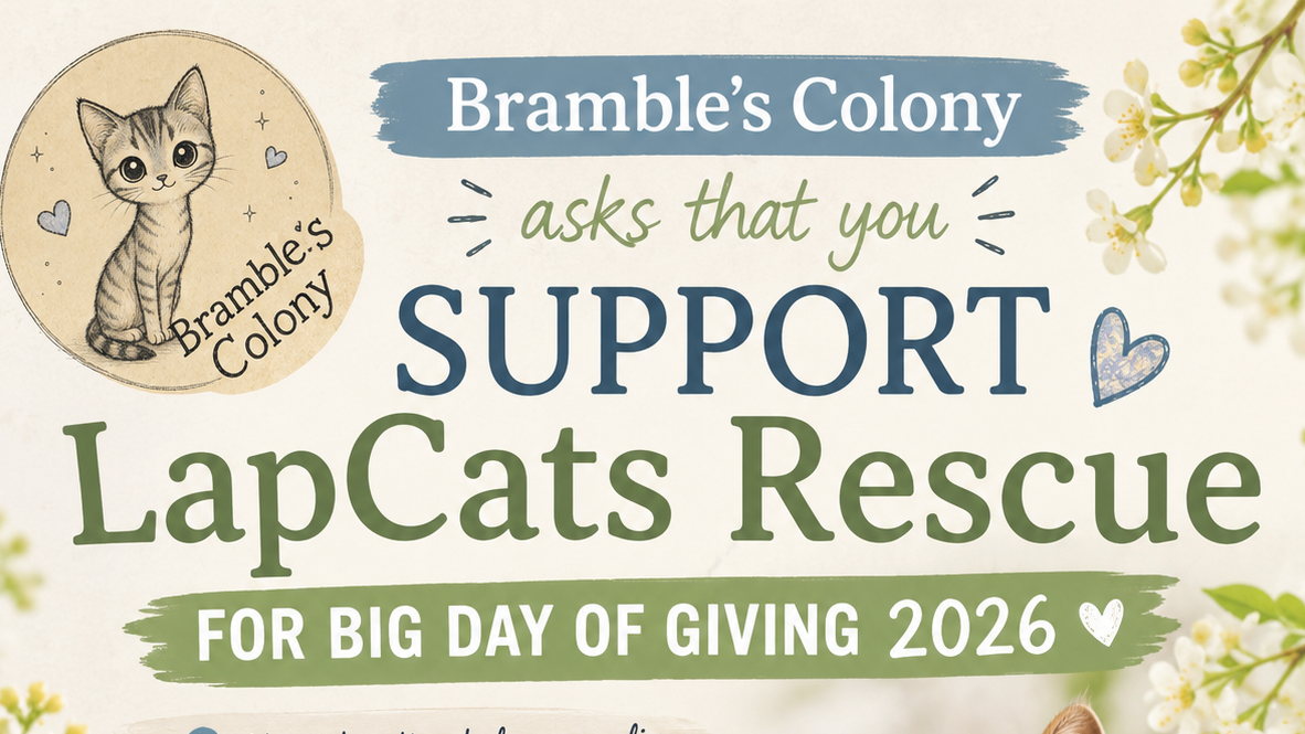 Fundraiser image
